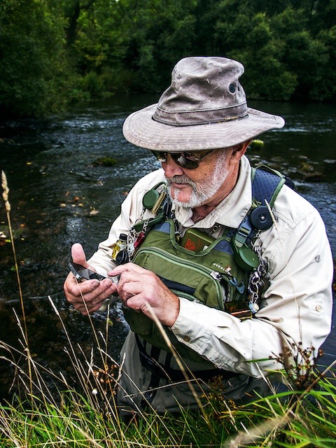 Fly identification, the modern way…smaller